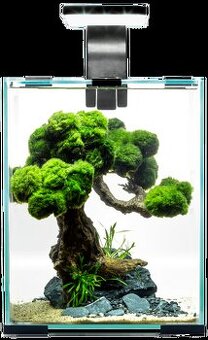 Akvárium - komplet aj s rybkami