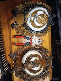 Diviacie kly, Parohy, zhody, trofeje,