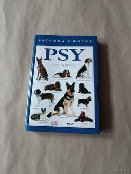 Príroda v kocke: Psy