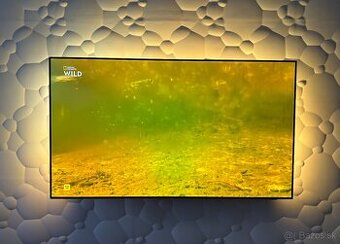 OLED Philips 65OLED804