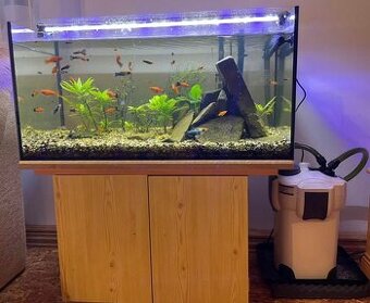 125L Akvákrium + vybavenie