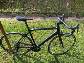 Canyon Endurace