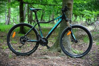 CTM Charisma 5.0 (27.5")