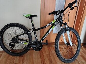 MTB 24