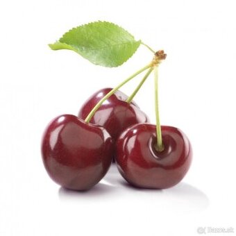 Višne