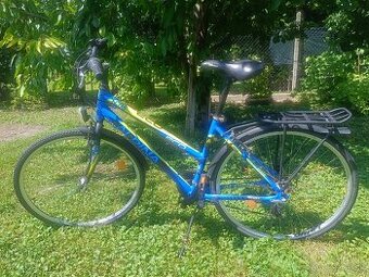 Kellys Alpina eco