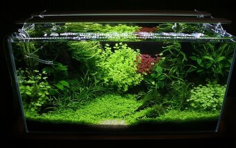 Sinkor 75 LED 80cm 2ks