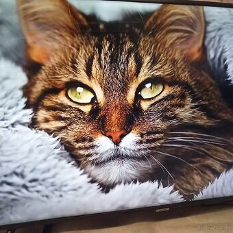 Samsung smart 4K led lcd tv 49(123)