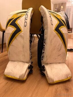 Brankarska hokejová výstroj