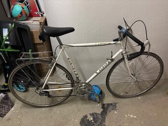 Bicykel ALPINA