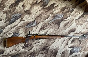 22 hornet