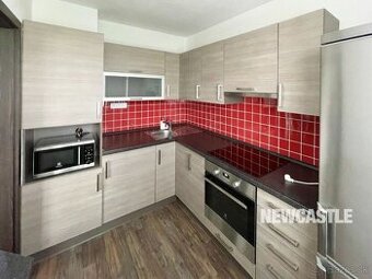 NEWCASTLE⏐PRENAJOM - 1i bauring na ul. Tulská (29m2) + wifi