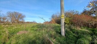 ZNÍŽENÁ CENA - Pozemok s inžinierskymi sieťami Žemberovce /