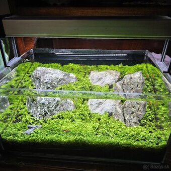 Akvarium 30x20x15cm 9L