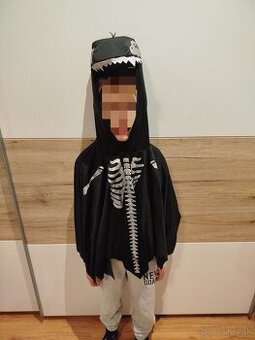 Karnevalový kostým