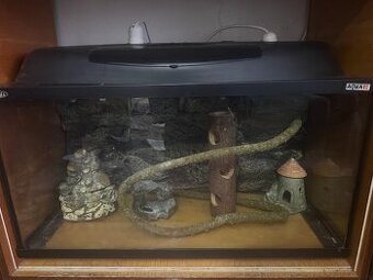 Terarium, sklo, akvárium