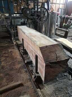 Kmeňova pásová pila