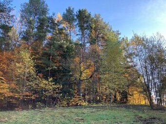 Predám pozemok (Mihaľov)