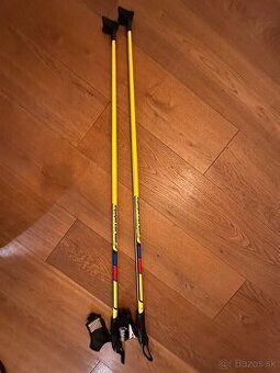 Detské paličky na bežky Salomon Equipe carbon JR 105 cm