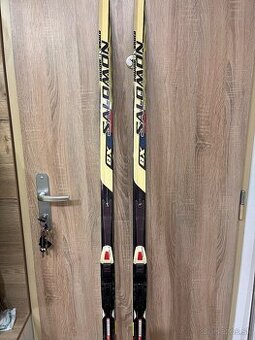 Predam Skate bezky salomon dlzka 186cm+topanky vel:UK9