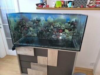 Akvarium