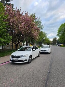 Šofér taxislužby