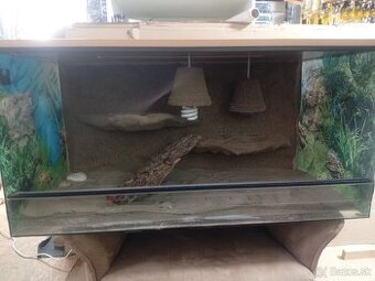 Terarium 102x51x50 cm