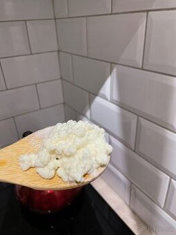 Kefírové zrná – živé, aktívne (domáci kefír)