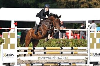 VYHRÁVACÍ KOBYLKA - RODINNÝ KŮŇ - HOBBY