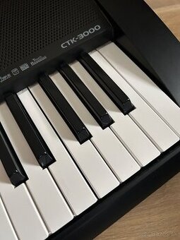 Casio CTK-3000