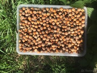 Bio lieskove orechy