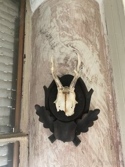 Poľovnícke predmety