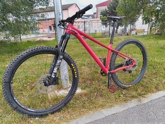 Pells Root 1 - veľ. M