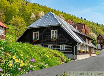 Autentická drevenica s dvomi výnosovými apartmánmi, Donova