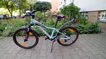 Kellys lumi 50 velkost 20
