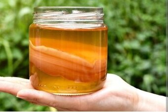 Kombucha