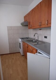 1-izbový byt po čiastočnej rekonštrukcii v tichej časti Trná - 1