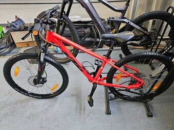 KTM Wild Speed Disc 24