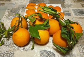 Bio pomarančová kôra