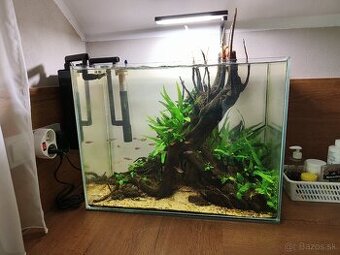 Predam zabehnute akvarium