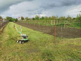 Záhrada - stavebný pozemok v Malom Horeši - REZERVOVANÉ
