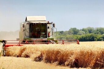 Úbrež – 3.843 m2 ORNÁ PÔDA v pozemkových úpravách