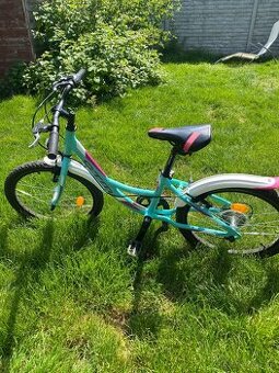 CTM Ellie 20”