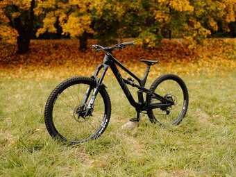 Canyon Spectral CF 29