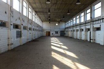 Priemyselné haly, Nové Mesto nad Váhom