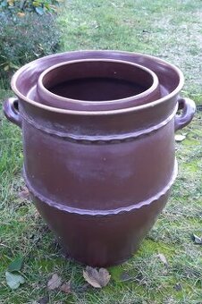 sud na kapustu neposkodeny