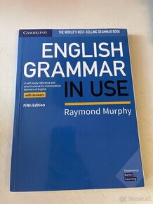 English grammar in use cambridge