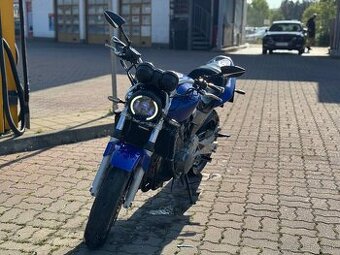 Honda Hornet