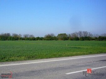 Orná pôda Čunovo na predaj, o výmere 11000 m2