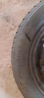Barum Polaris 5 195/55/15